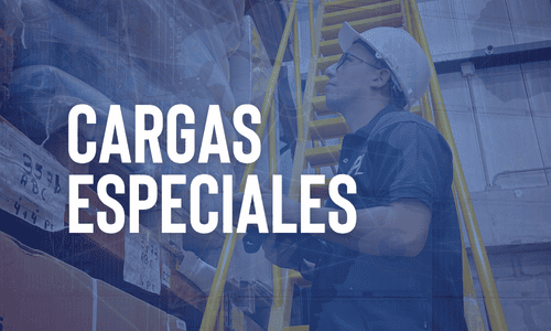 Cargas especiales Cargas especiales
