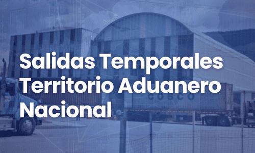 Salidas temporales Salidas temporales